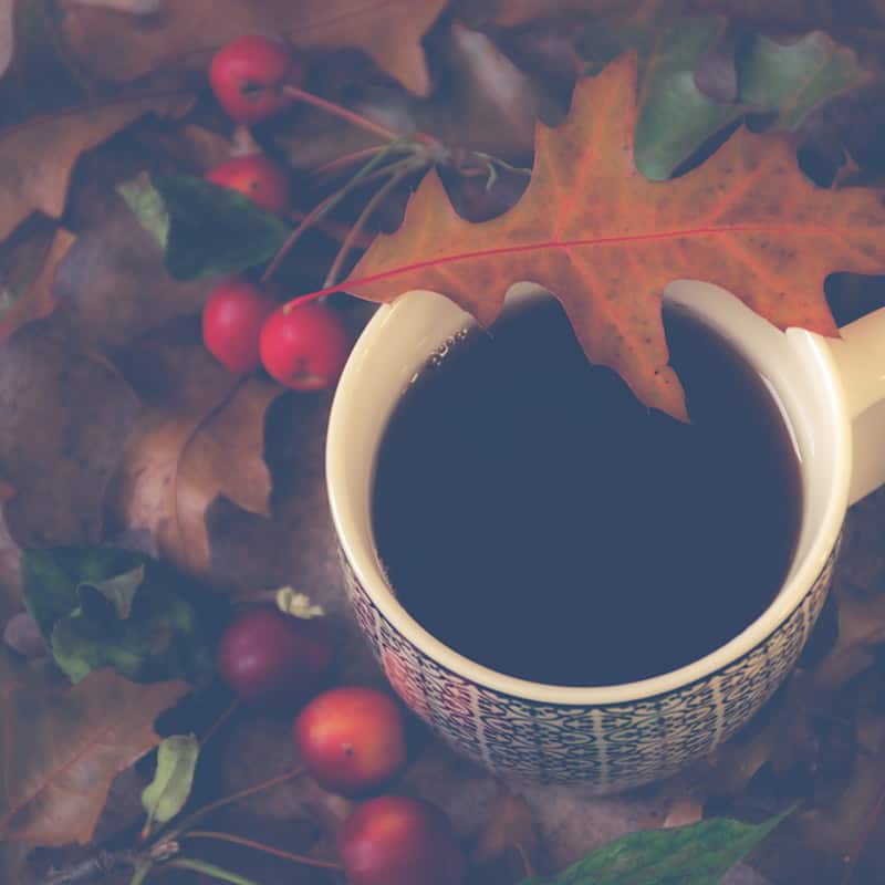 A cup of dark roasted hojicha resting among autumn leaves