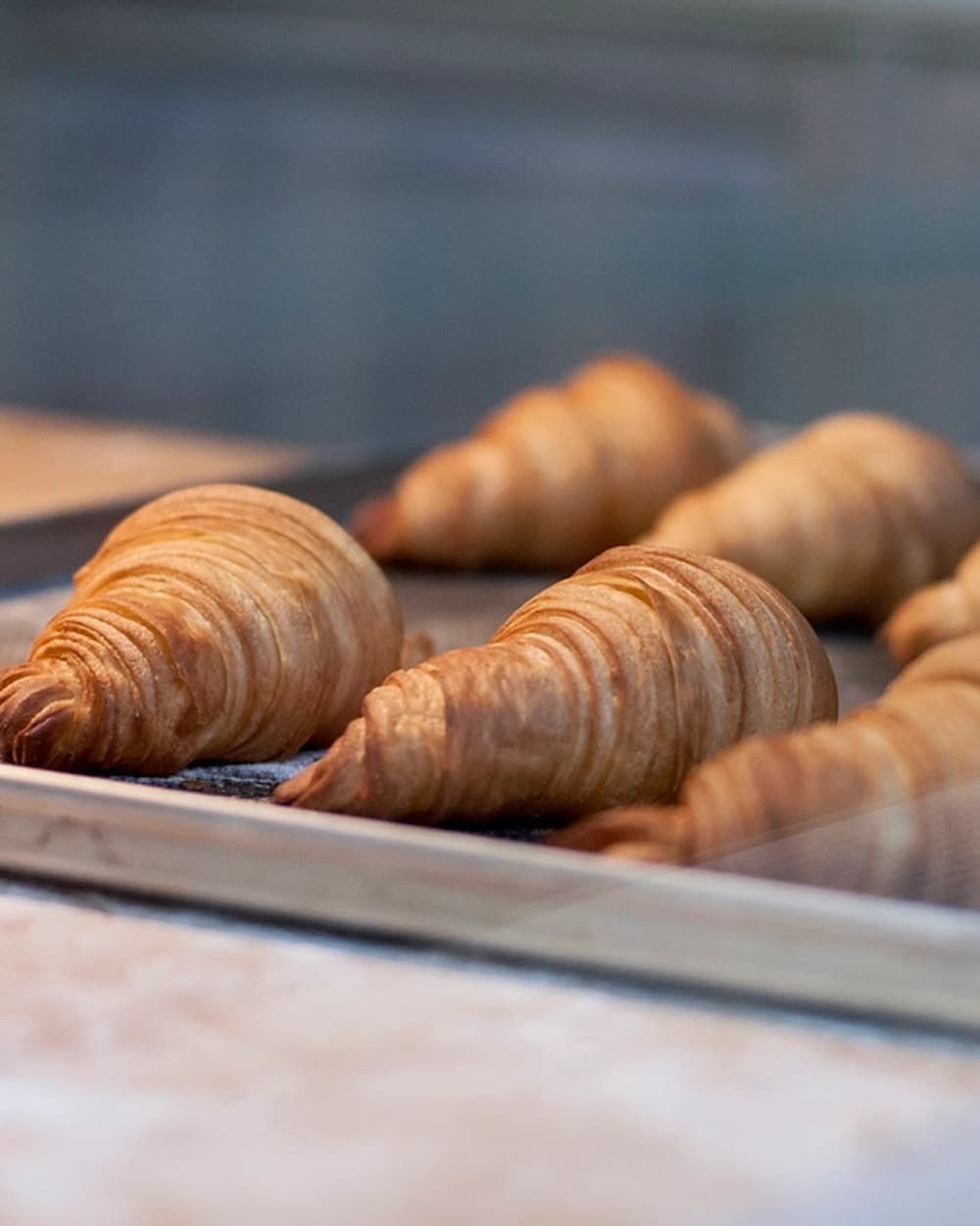 Trays of freshly baked croissants cooling on the bakery bench